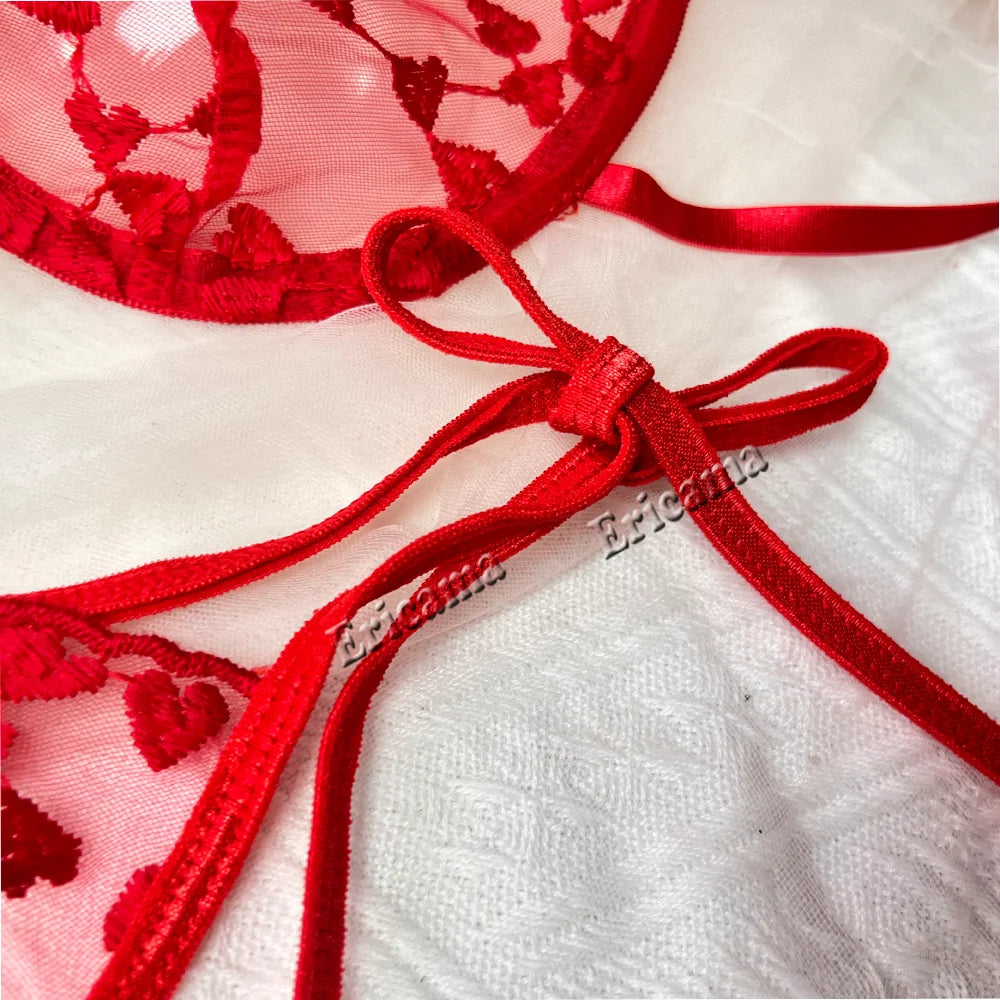 Lace Embroidery Bra & Thong Set – Sexy Lingerie